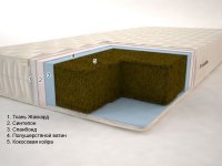 Тропик "Гранд" (высота: 18 см)