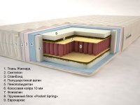 Тропик «Pocket Spring» (высота: 20 см)