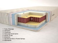 Лагуна «Pocket Spring» (высота: 18 см)