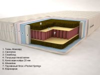 Тропик 2 «Pocket Spring» (высота: 18 см)