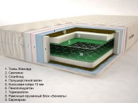 Тропик "Боннель" (высота: 21 см.)