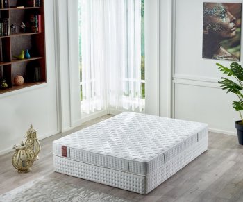 Ортопедический матрас Maiorca (Майорка ) Olimpia 160х200