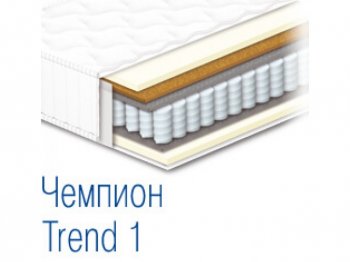 ЧЕМПИОН TREND 1 - ортопедический матрас 70х190