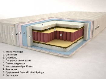 Тропик «Pocket Spring» (высота: 20 см)