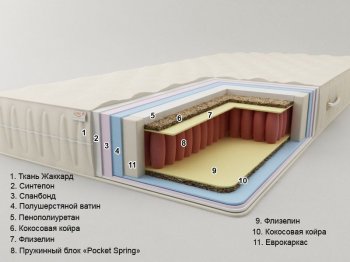 Белиз «Pocket Spring» (высота: 19 см)
