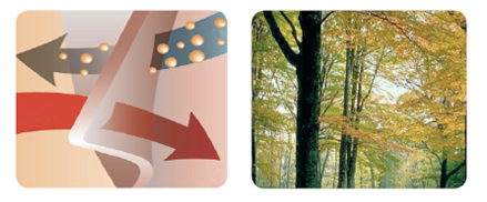 Материал Lenpur