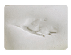 Наполнитель Memoform